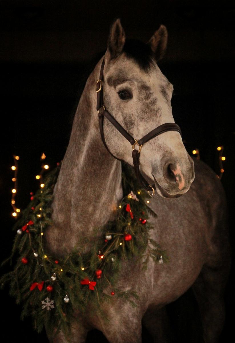 Szczęśliwego Nowego Roku!