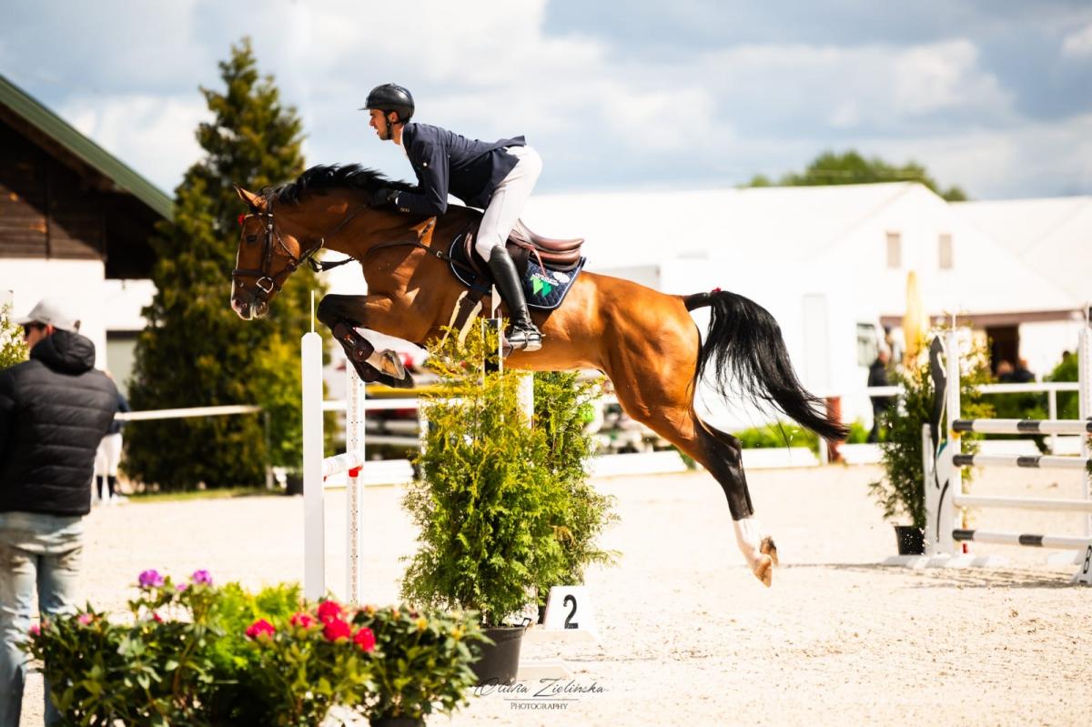 Kolejne konie na starcie